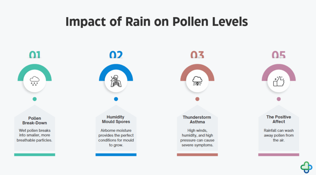 Infographic Rain Pollen Levels
