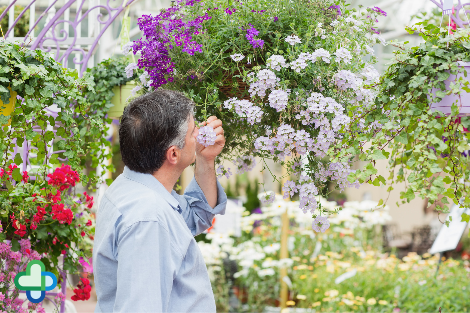 hay fever nasal spray sorted