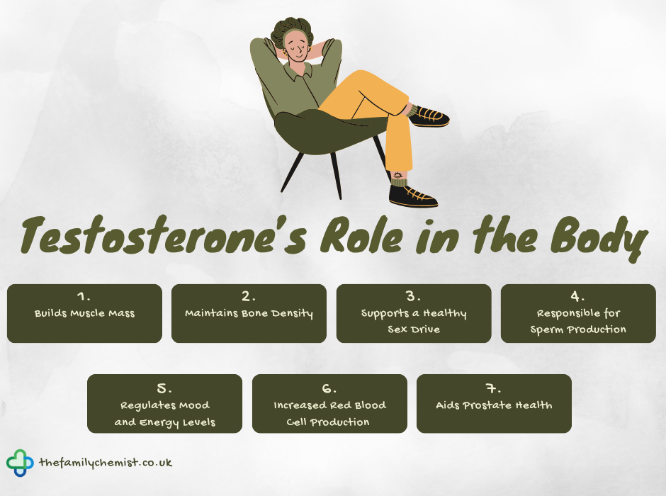 testosterone role infographic 